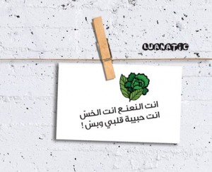 "Ente el na3na3 enta el khas, ente habibet albe w bas"- "Tú eres la menta y la lechuga, tú eres mi amor y nadie más"